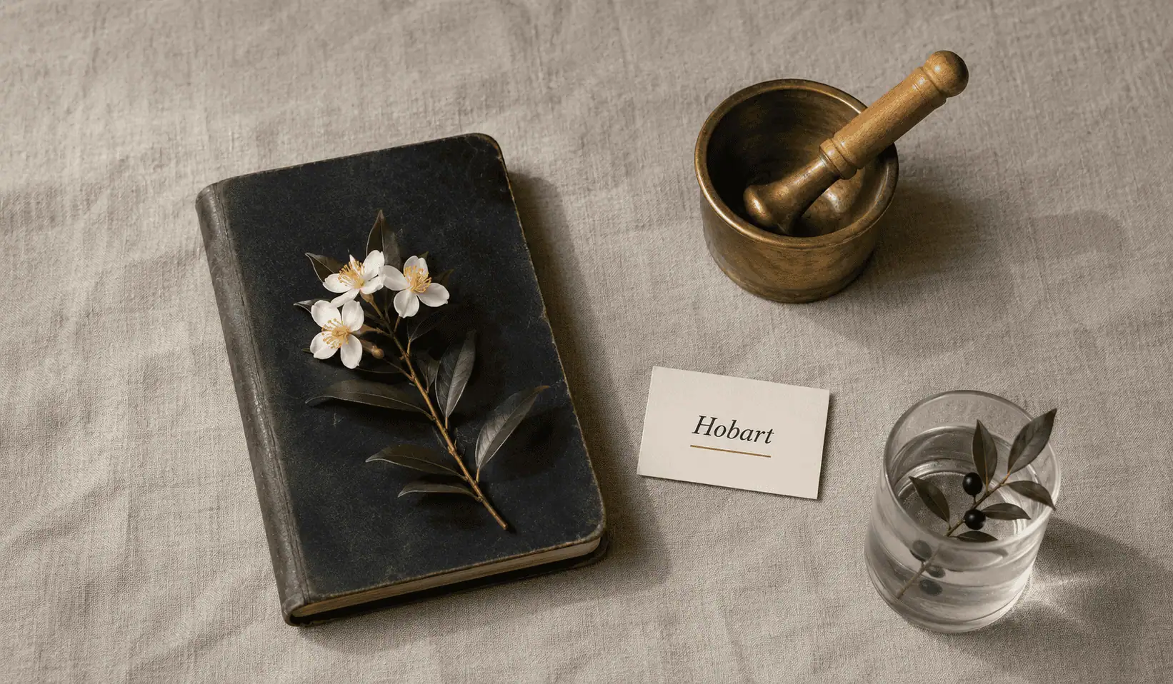 Hobart anaesthetic billing service — editorial still life of a closed leather logbook with a brass key resting on the cover, a half-drunk espresso cup, and a small card reading Hobart, on warm linen.